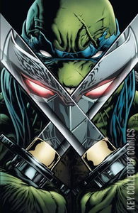 Teenage Mutant Ninja Turtles #13