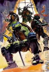 Variant Cover for Teenage Mutant Ninja Turtles #12