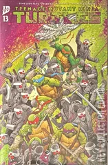 Cover for Teenage Mutant Ninja Turtles #13