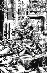 Variant Cover for Teenage Mutant Ninja Turtles #11