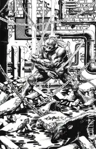 Teenage Mutant Ninja Turtles #11