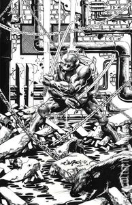 Teenage Mutant Ninja Turtles #11