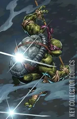 Variant Cover for Teenage Mutant Ninja Turtles #11