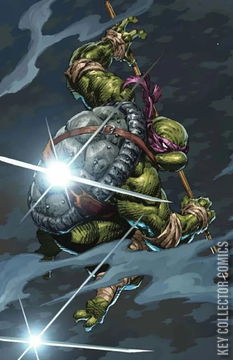 Variant Cover for Teenage Mutant Ninja Turtles #11