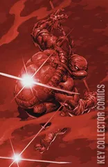 Variant Cover for Teenage Mutant Ninja Turtles #11