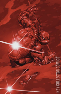 Teenage Mutant Ninja Turtles #11