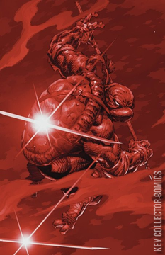 Variant Cover for Teenage Mutant Ninja Turtles #11