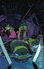 Variant Cover for Teenage Mutant Ninja Turtles #11