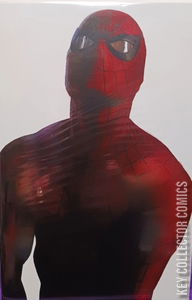 Amazing Spider-Man #50