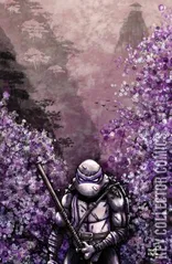 Variant Cover for Teenage Mutant Ninja Turtles #12