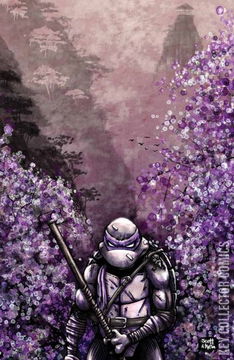 Variant Cover for Teenage Mutant Ninja Turtles #12
