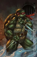Variant Cover for Teenage Mutant Ninja Turtles #12