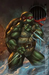 Teenage Mutant Ninja Turtles #12