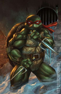 Variant Cover for Teenage Mutant Ninja Turtles #12