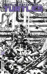 Variant Cover for Teenage Mutant Ninja Turtles #12