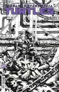 Teenage Mutant Ninja Turtles #12