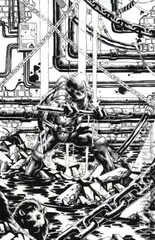 Variant Cover for Teenage Mutant Ninja Turtles #12