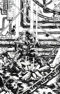 Teenage Mutant Ninja Turtles #12