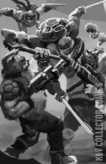 Variant Cover for Teenage Mutant Ninja Turtles: Battle Nexus #1