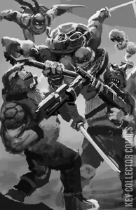 Teenage Mutant Ninja Turtles: Battle Nexus #1