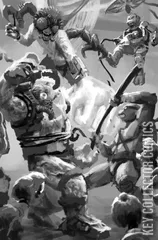 Variant Cover for Teenage Mutant Ninja Turtles: Battle Nexus #2