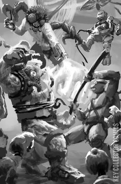 Variant Cover for Teenage Mutant Ninja Turtles: Battle Nexus #2