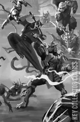 Variant Cover for Teenage Mutant Ninja Turtles: Battle Nexus #3