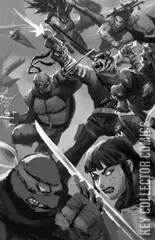 Variant Cover for Teenage Mutant Ninja Turtles: Battle Nexus #4