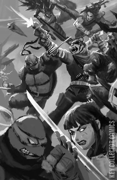 Variant Cover for Teenage Mutant Ninja Turtles: Battle Nexus #4
