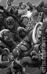 Variant Cover for Teenage Mutant Ninja Turtles: Battle Nexus #5