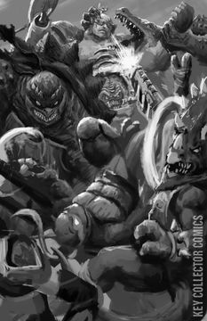 Variant Cover for Teenage Mutant Ninja Turtles: Battle Nexus #5