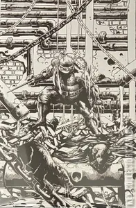Teenage Mutant Ninja Turtles #9