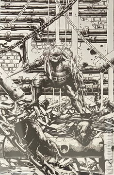 Variant Cover for Teenage Mutant Ninja Turtles #9