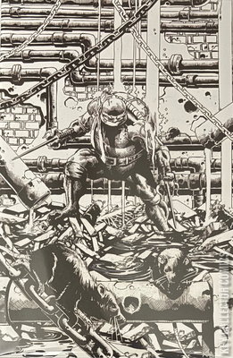 Teenage Mutant Ninja Turtles