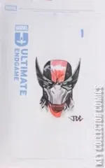 Variant Cover for Ultimate Endgame #1