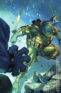 Teenage Mutant Ninja Turtles #1