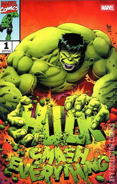 Variant Cover for Hulk: Smash Everything #1