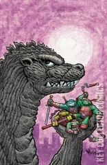 Variant Cover for Teenage Mutant Ninja Turtles x Godzilla #2