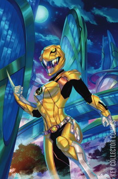 Variant Cover for Power Rangers: Prime #13