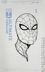 Variant Cover for Ultimate Endgame #1