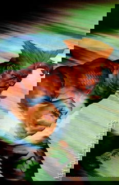 Variant Cover for Street Fighter #4