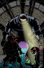 Variant Cover for Teenage Mutant Ninja Turtles: Journeys #4