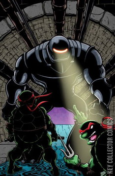 Variant Cover for Teenage Mutant Ninja Turtles: Journeys #4