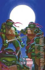 Variant Cover for Teenage Mutant Ninja Turtles: Journeys #1