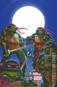 Teenage Mutant Ninja Turtles: Journeys #1