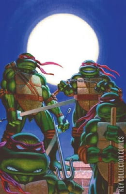Teenage Mutant Ninja Turtles: Journeys