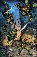 Variant Cover for Teenage Mutant Ninja Turtles: Journeys #1