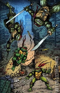 Teenage Mutant Ninja Turtles: Journeys #1