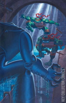 Variant Cover for Teenage Mutant Ninja Turtles: Journeys #5