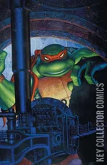 Variant Cover for Teenage Mutant Ninja Turtles: Journeys #3